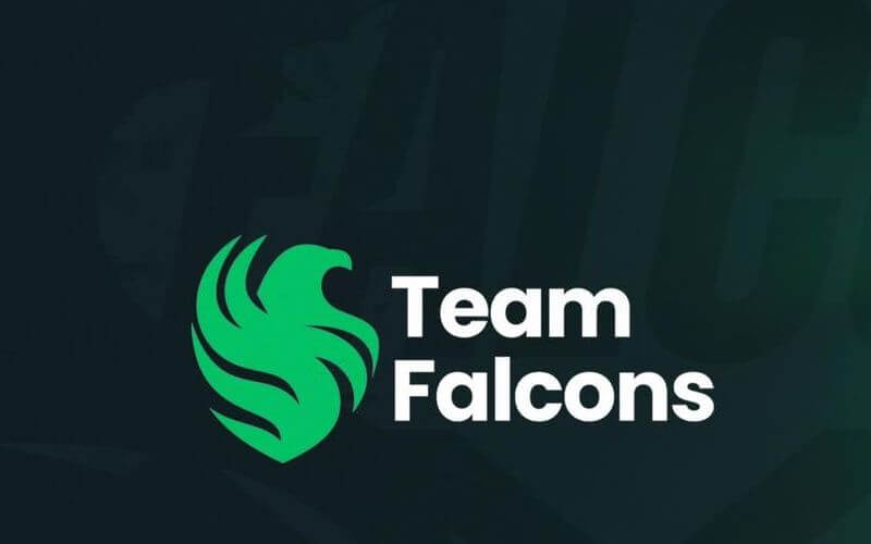 Team Falcons