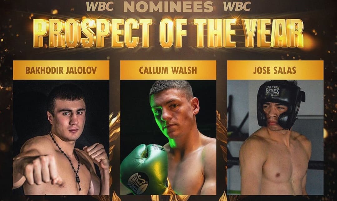WBC объявил претендентов на лучшего боксера года