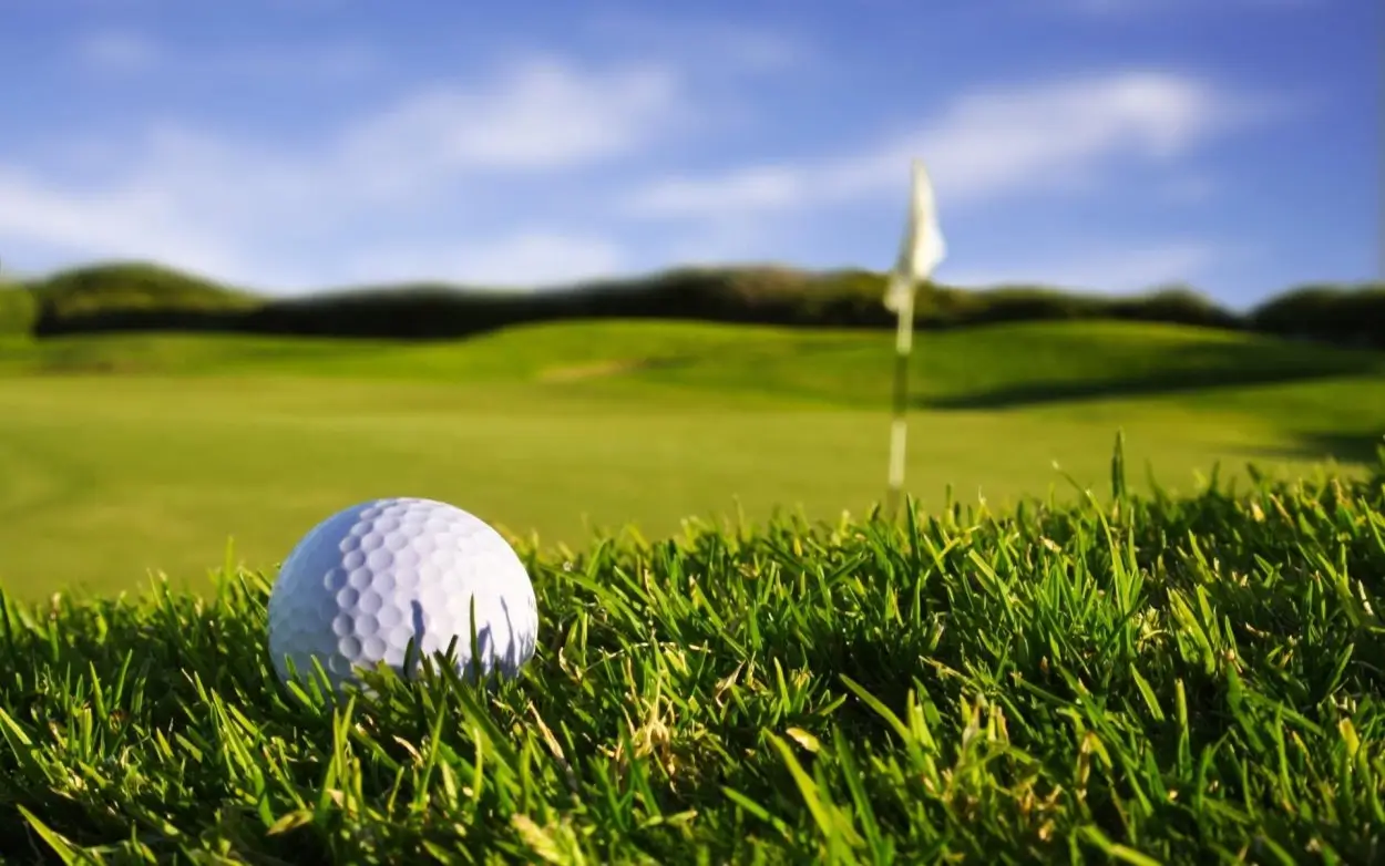 термины в гольфе и их значения