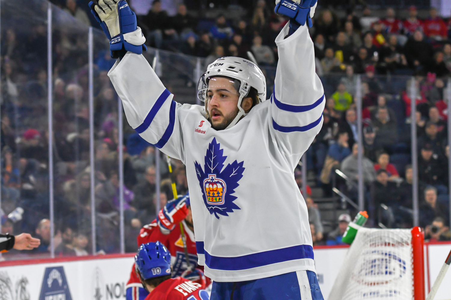 Toronto Marlies v Laval Rocket