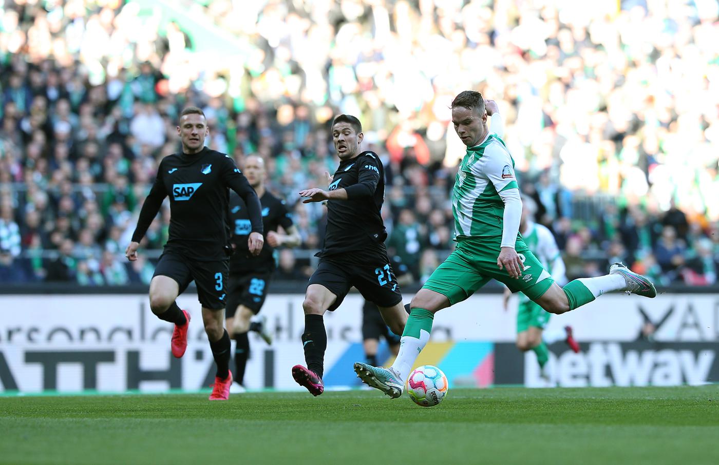 Вердер Хоффенхайм