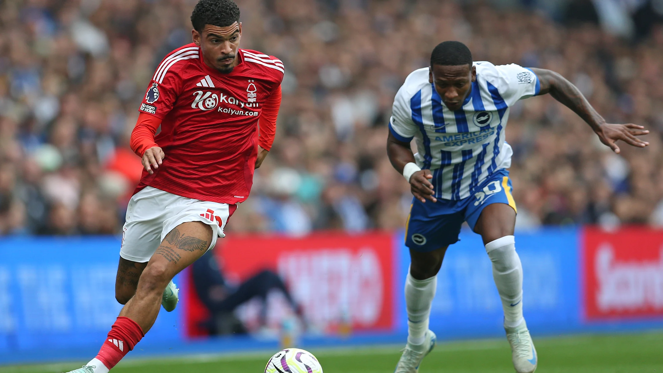 Брайтон Ноттингем