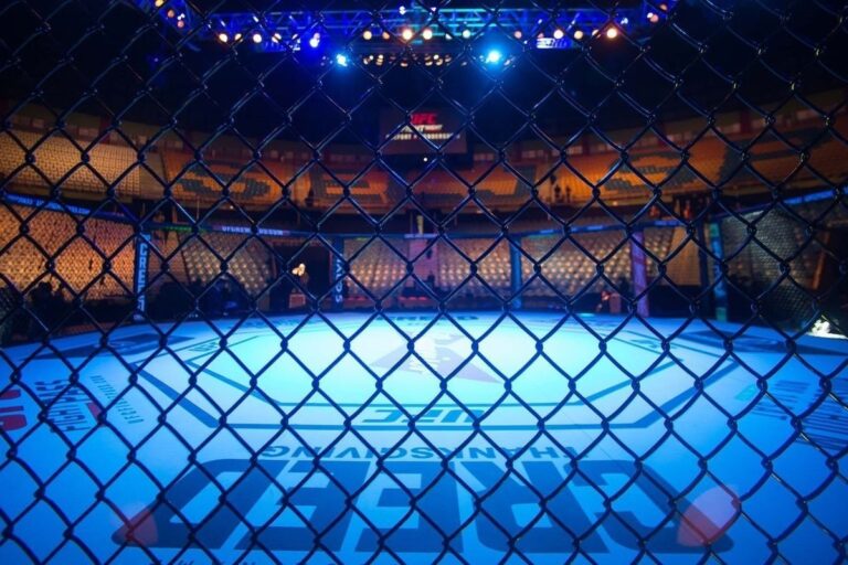 UFC подводит итоги первой трети 2025 года: главные моменты апреля