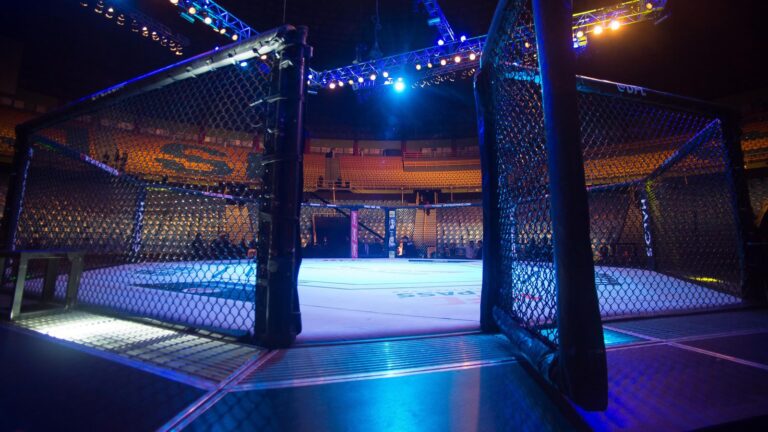 UFC объявил о партнерстве с производителем культового ликера Hpnotiq