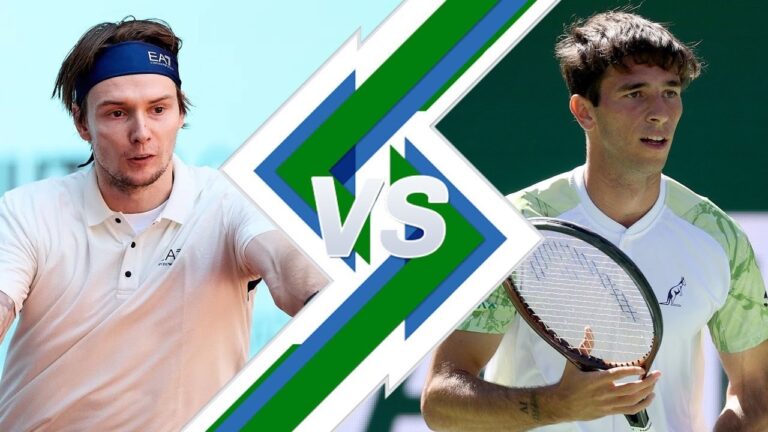 ATP восхитилась эффектным завершением матча Бублика в Турине
