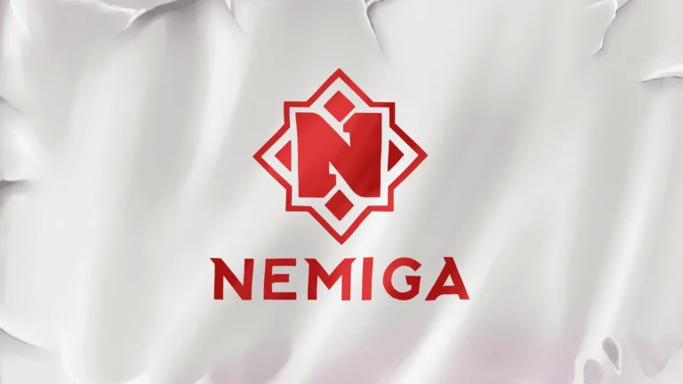 Nemiga Gaming пробилась в закрытые отборочные The International 2025