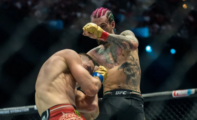 Сарапшы UFC Двалишвили мен О’Мэллидің реваншын талдады