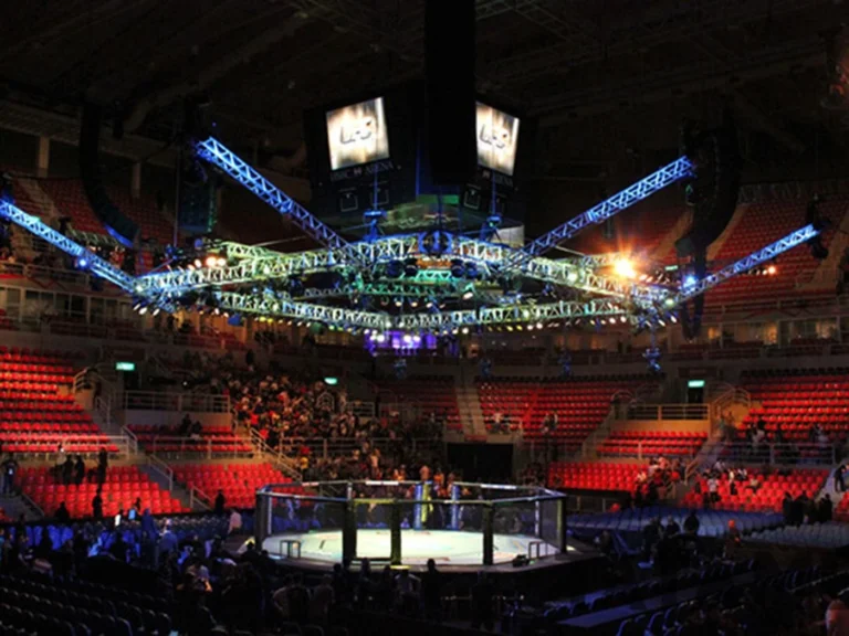 UFC анонсировал турнир в Абу-Даби с участием Петра Яна