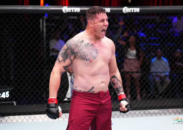 Тяжеловес UFC Динис получил третьего соперника в этом году