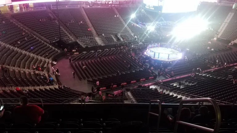 UFC объявил о партнерстве с Experian перед турниром в Лас-Вегасе