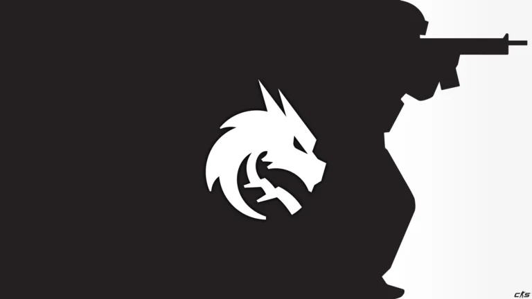 Team Spirit Academy объявила нового игрока на замену kyousuke
