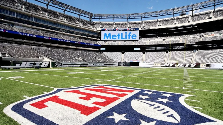 Тренеры АПЛ раскритиковали качество поля на стадионе MetLife