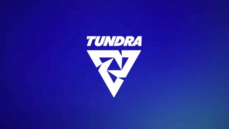 Tundra Esports и Nigma Galaxy сразятся в плей-офф Clavision DOTA2 Masters