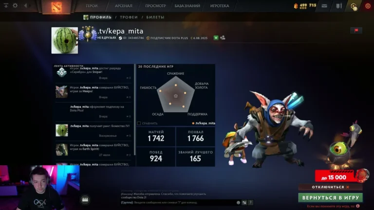 Известный стример раскритиковал игроков Dota 2 за отказ от голосового чата