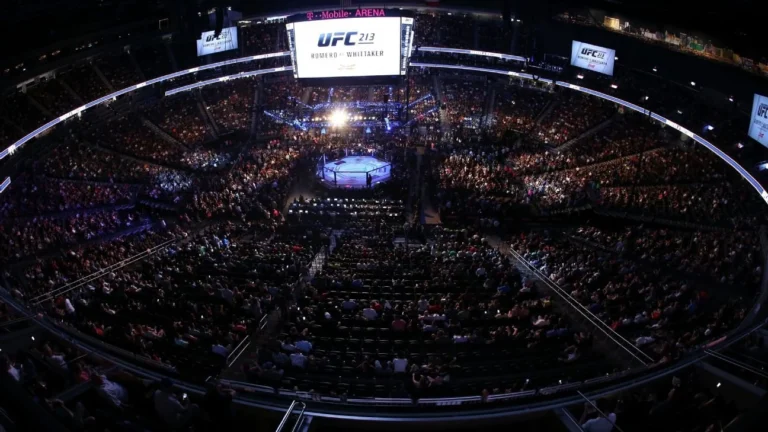 Road to UFC: Полуфиналы турнира пройдут в Шанхае