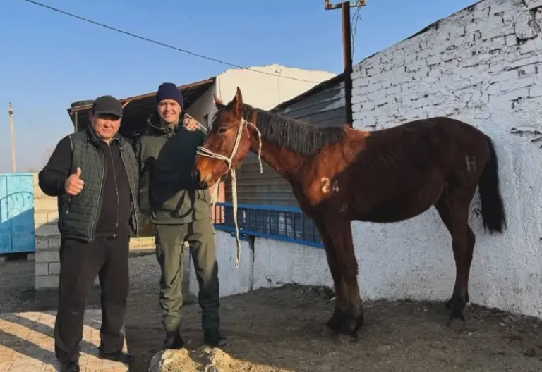 Голкипер Мухаммеджан Сейсен получил в подарок скакуна для кокпара